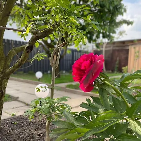 Schoenes Reihenhaus Mit Garten Сasa de vacaciones *