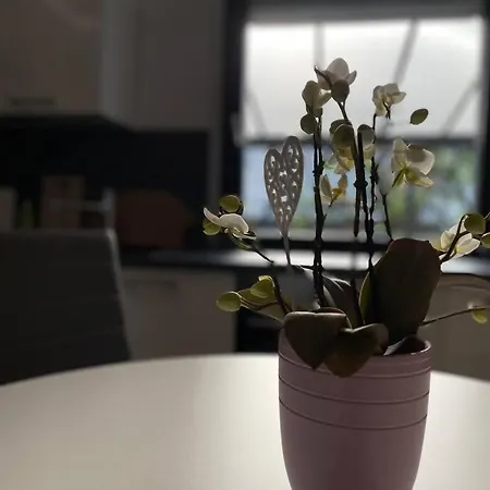 別荘 Schoenes Reihenhaus Mit Garten