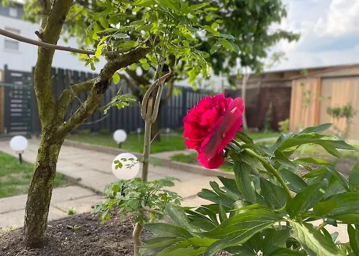 Schoenes Reihenhaus Mit Garten Vakantiehuis *
