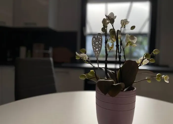 Vakantiehuis Schoenes Reihenhaus Mit Garten