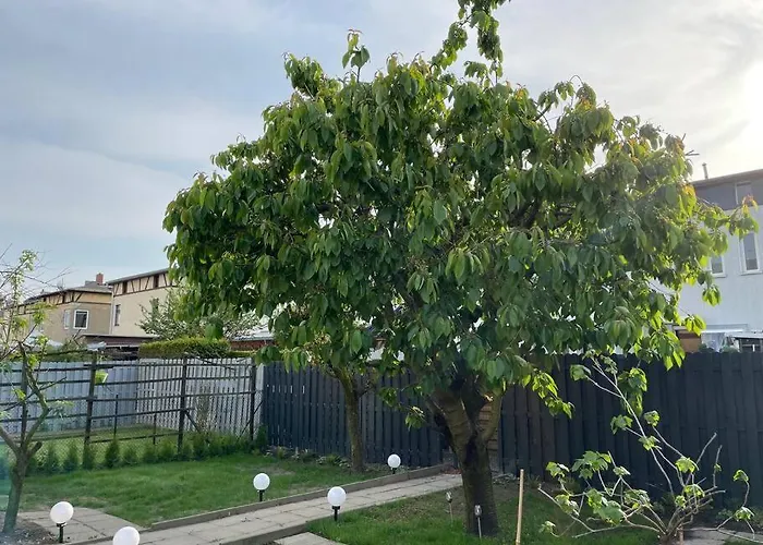 Schoenes Reihenhaus Mit Garten * Magdeburgo